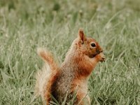 pexels-beyzaa-yurtkuran-16537145