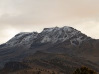 pexels-carlos-reyes-17130079