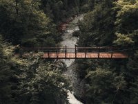 pexels-david-doddridge-17298484