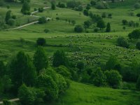 pexels-emre-bilgic-17299063