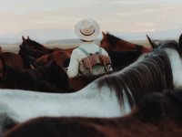 pexels-tansu-topuzoglu-17334559