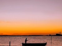 pexels-thiago-matos-5017026